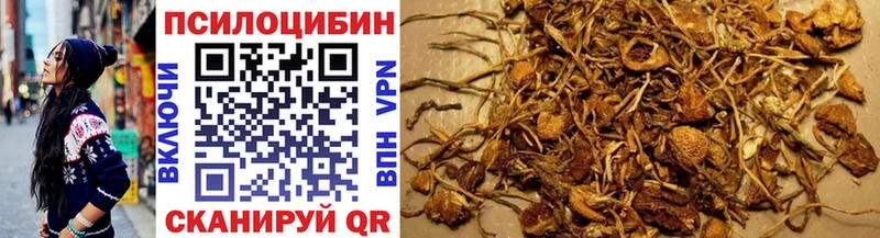 Псилоцибиновые грибы мухоморы  Данков 
